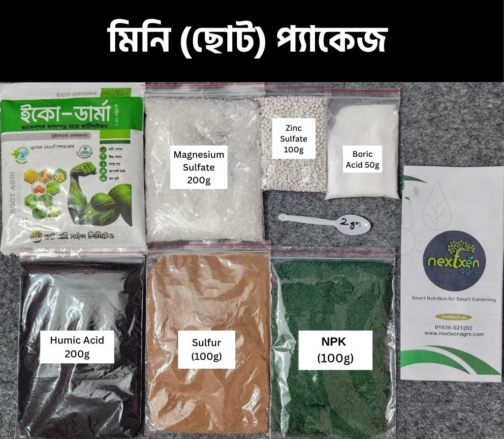 ফুল প্যাকেজ - 2