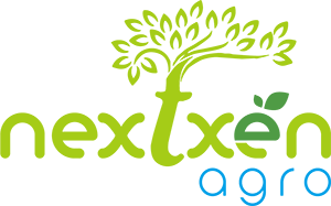 nextxen-logo